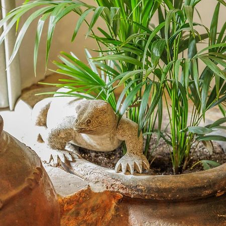 ガラロサ Casa Magnoliaヴィラ エクステリア 写真