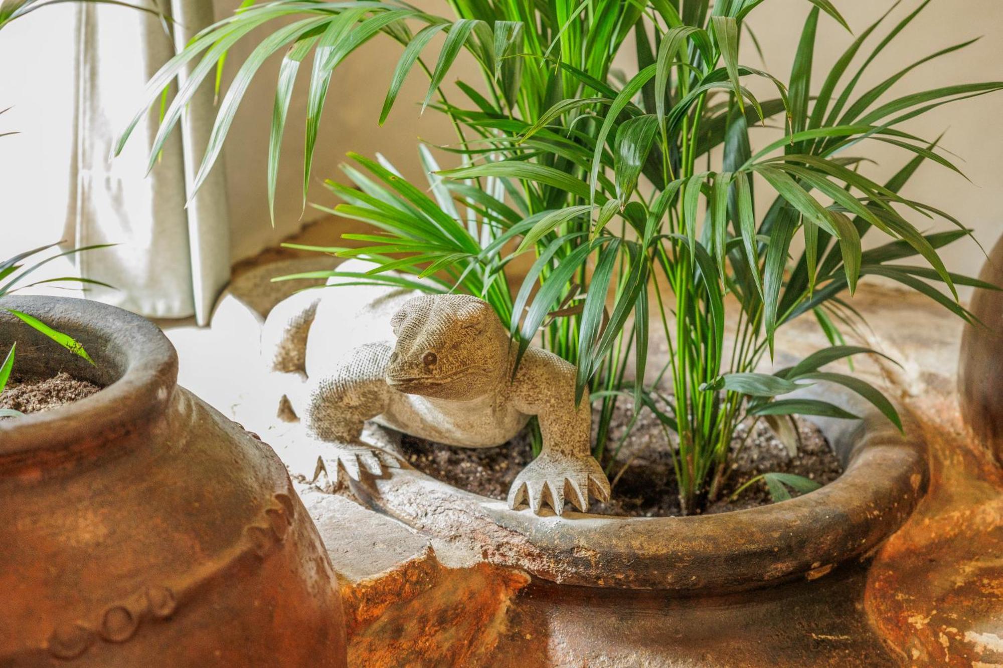 ガラロサ Casa Magnoliaヴィラ エクステリア 写真